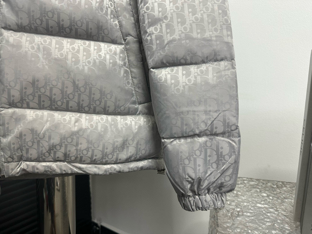 Stylish Silver Dior Puffer Jacket For Cold - Weather Elegance