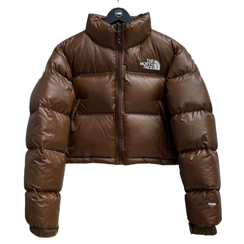 The North Face Brown Glossy Cropped Nuptse Puffer Jacket For Winter Style