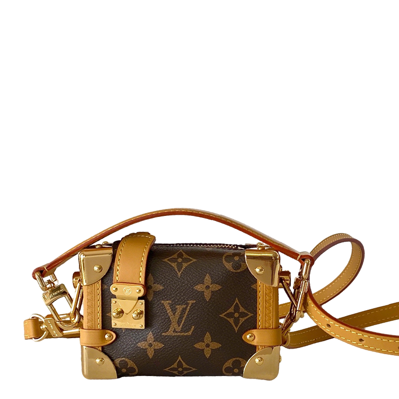 Luxury LV Monogram Canvas Mini Bag with Gold Hardware and Adjustable Strap