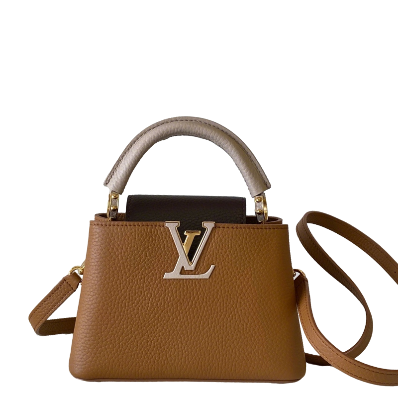 Stylish Louis Vuitton Capucines Bag in Brown Grained Leather for Fashion Enthusiasts 3 colors available