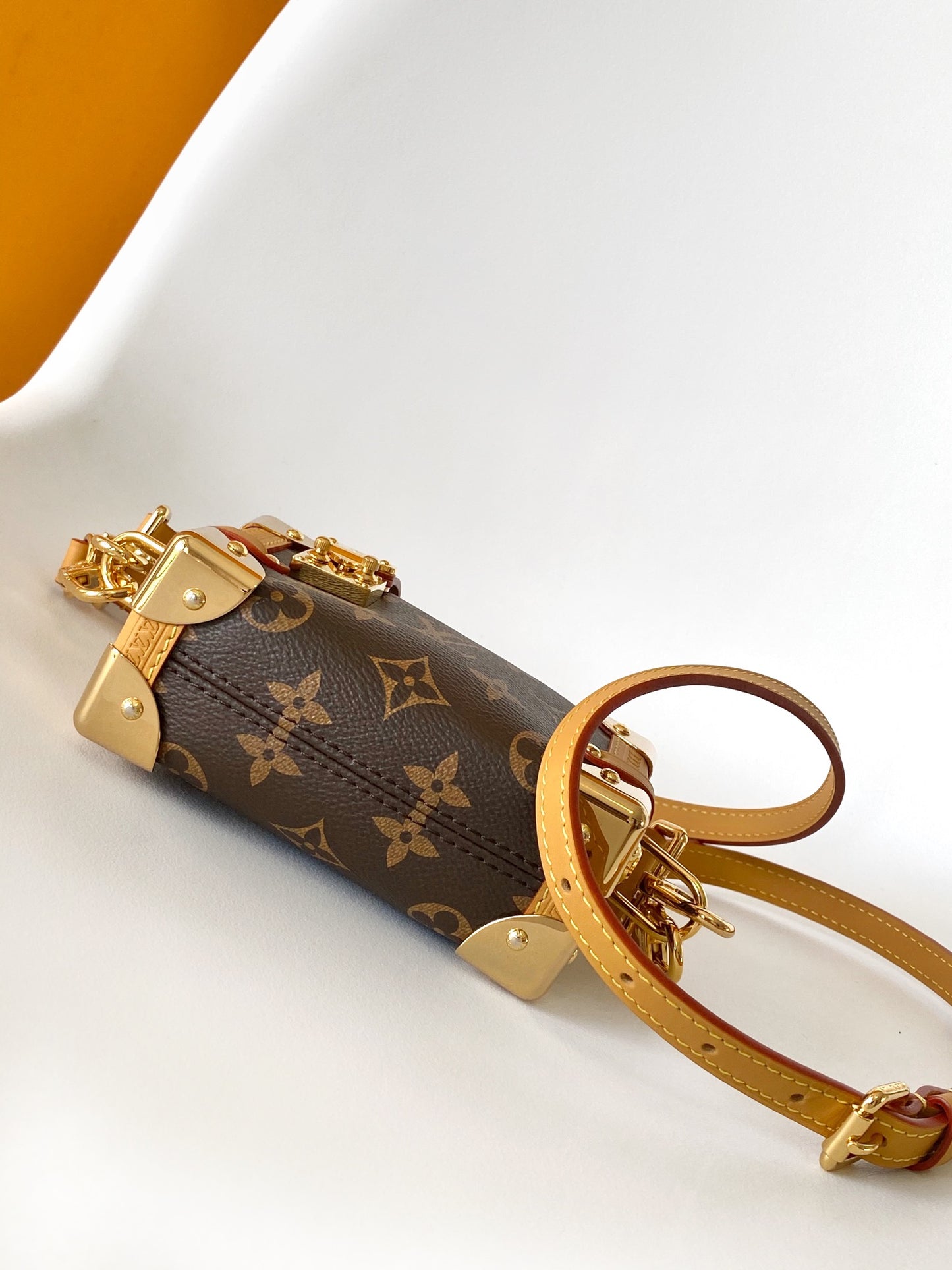 Luxury LV Monogram Canvas Mini Bag with Gold Hardware and Adjustable Strap