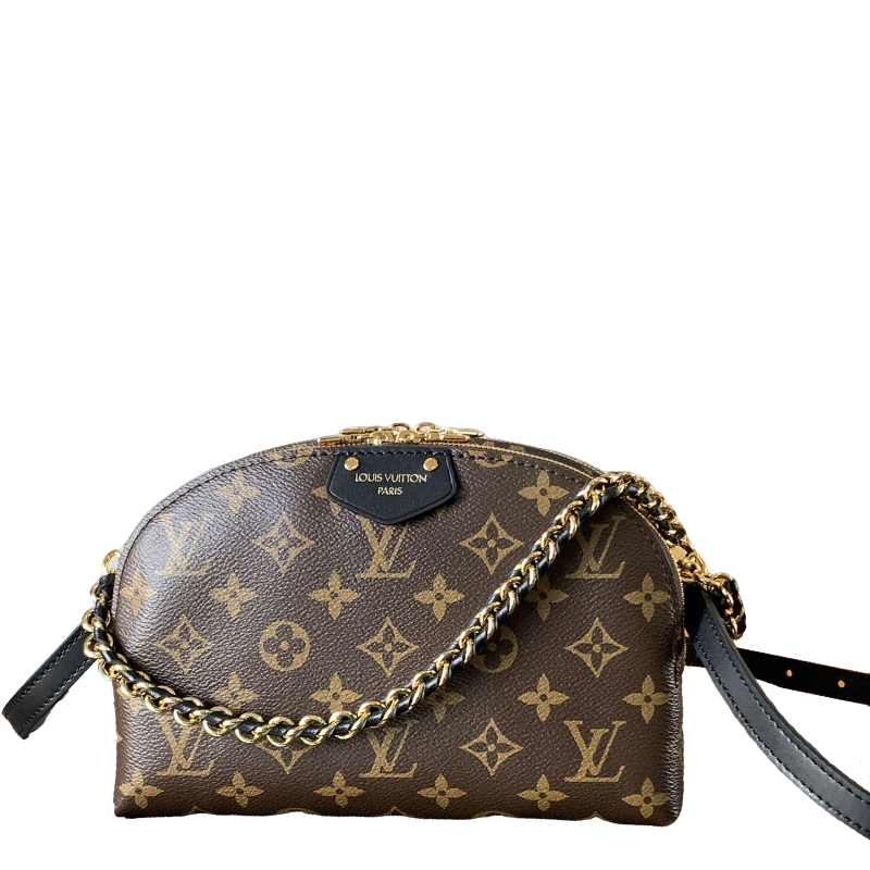 Louis Vuitton Monogram Canvas Chain - Linked Shoulder Bag Stylish Luxury Accessory for Fashionistas