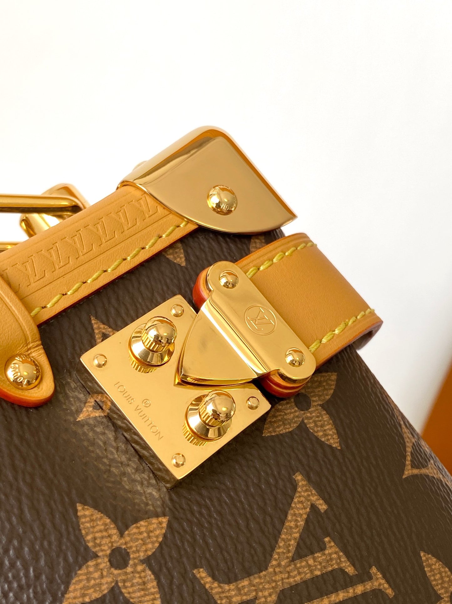 Luxury LV Monogram Canvas Mini Bag with Gold Hardware and Adjustable Strap