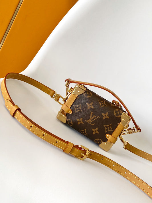 Luxury LV Monogram Canvas Mini Bag with Gold Hardware and Adjustable Strap