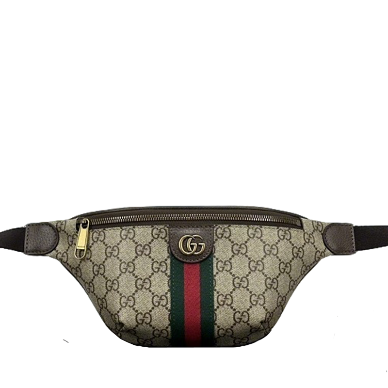 Chic Gucci Fanny Pack with Iconic GG Pattern and Distinctive Stripes for Trendsetters 839106