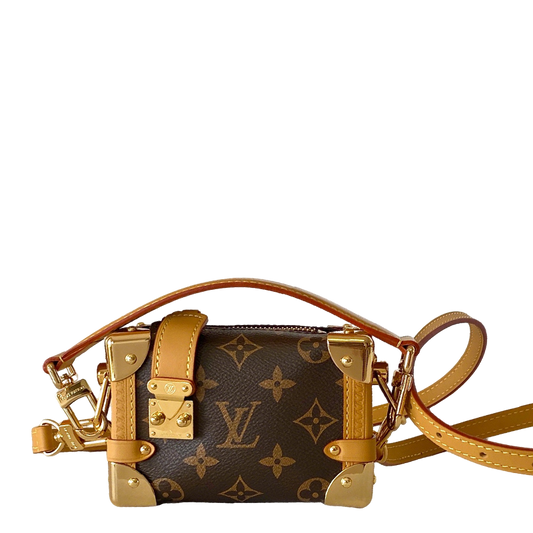 Luxury LV Monogram Canvas Mini Bag with Gold Hardware and Adjustable Strap