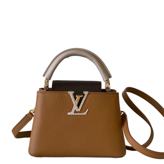 Stylish Louis Vuitton Capucines Bag in Brown Grained Leather for Fashion Enthusiasts 3 colors available