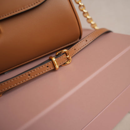 Miu Miu Brown Leather Crossbody Bag With Gold Chain Strap 5BD266