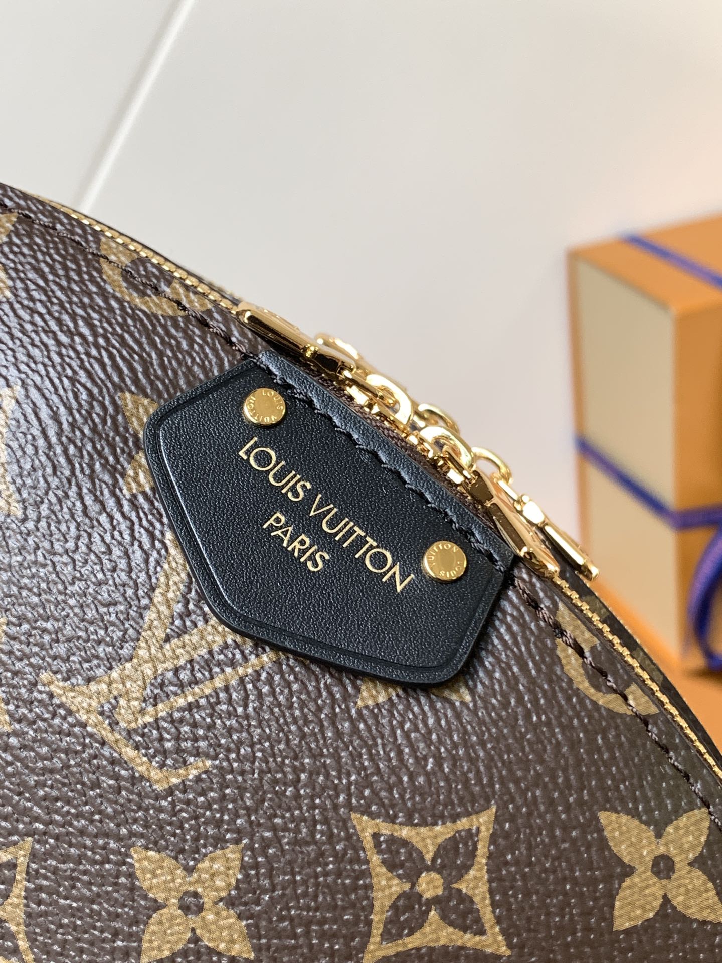 Louis Vuitton Monogram Canvas Chain - Linked Shoulder Bag Stylish Luxury Accessory for Fashionistas