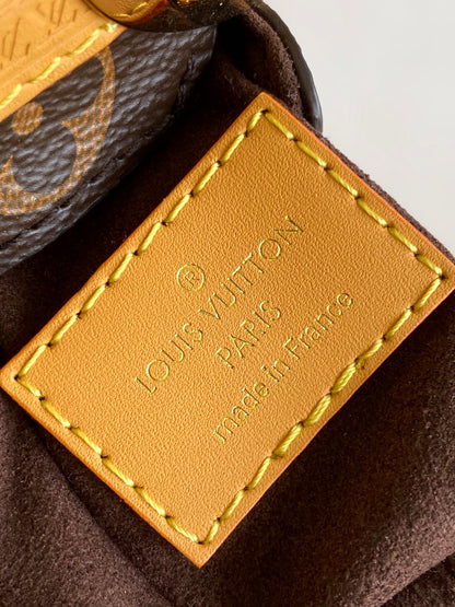 Luxury LV Monogram Canvas Mini Bag with Gold Hardware and Adjustable Strap